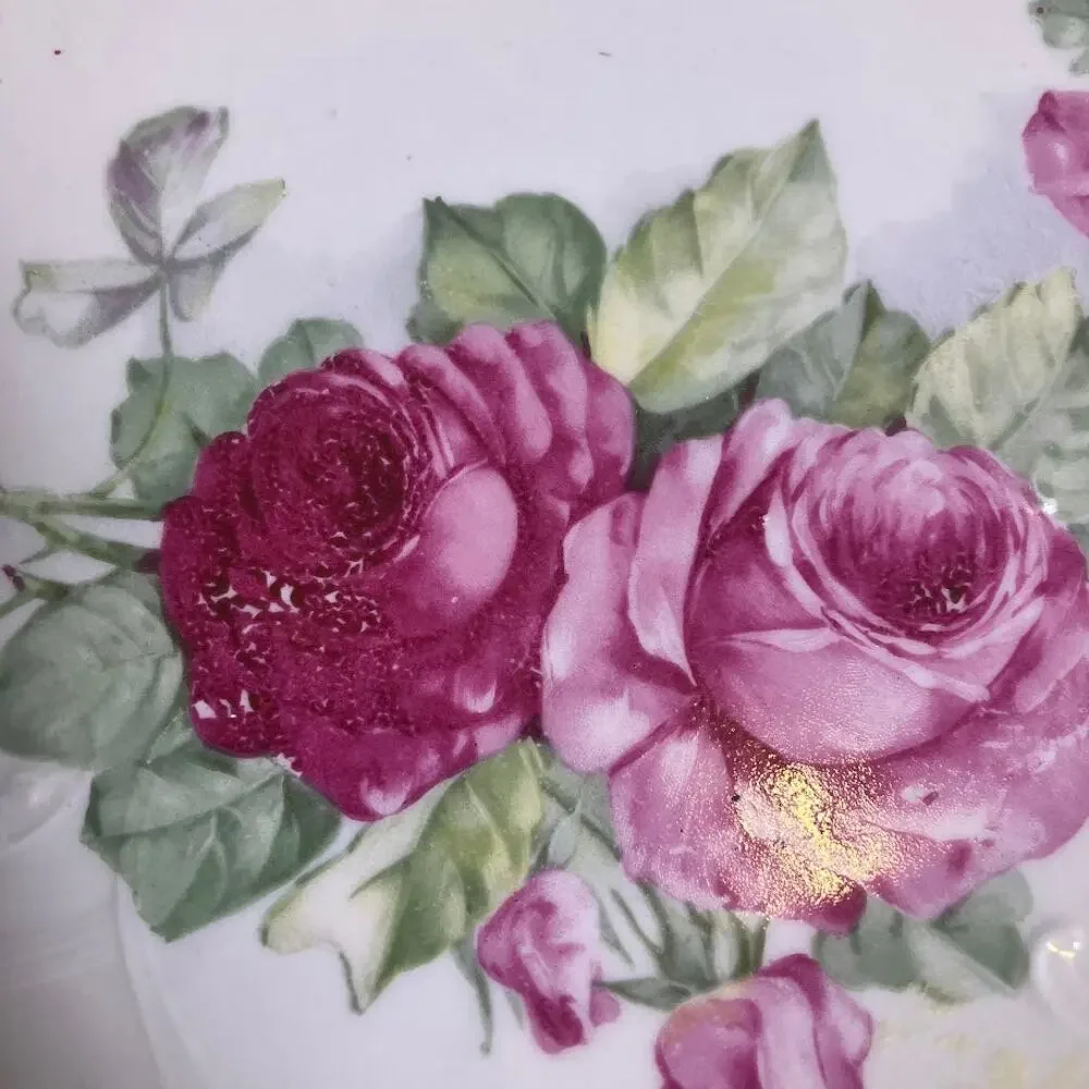 Antique Lehmann Arzberg Bavaria Hand Painted Pink Rose Cake Plate Embossed 10”